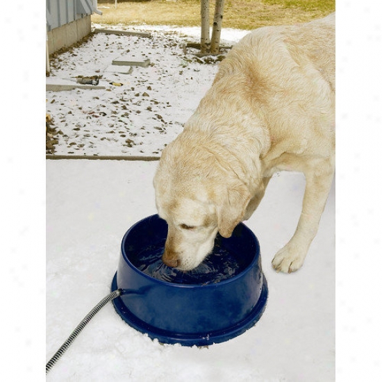 K&h Manufacturing Thermal Bowl Heated Dog Bowl