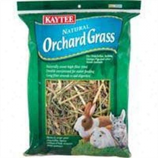 Kaytee 100032093 Orchard Grass