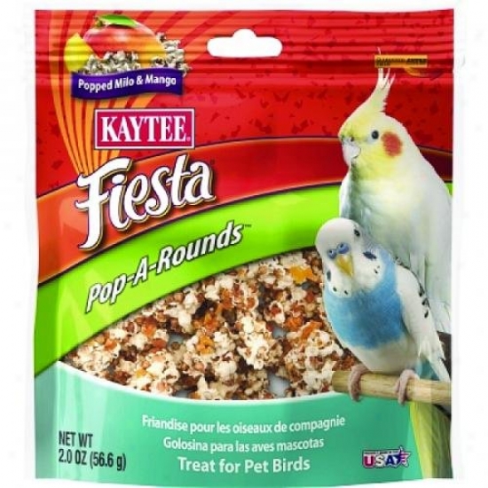 Kaytee 100509402 Fiesta Pop-a-rounds Treat - Pet Birds