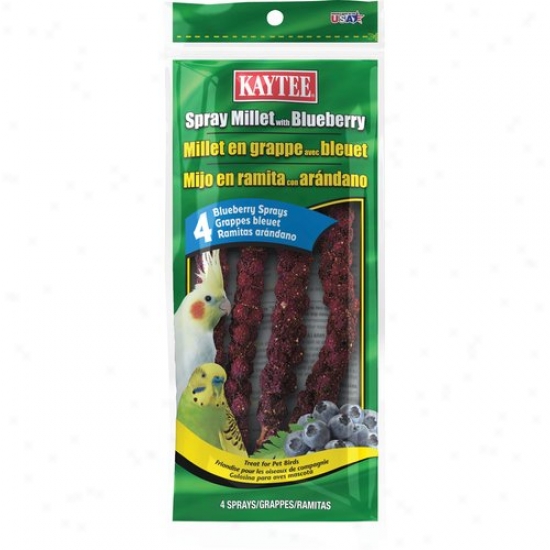 Kaytee Spray Millet, Blueberry, 4-count