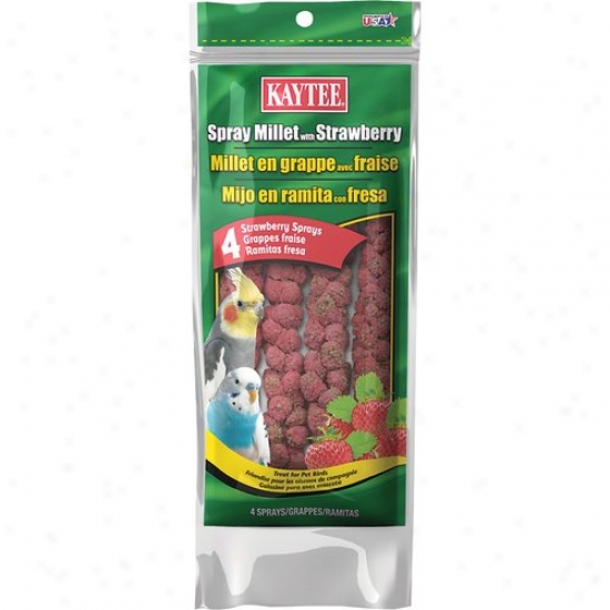Kaytee Spray Millet, Strawberry, 4-count