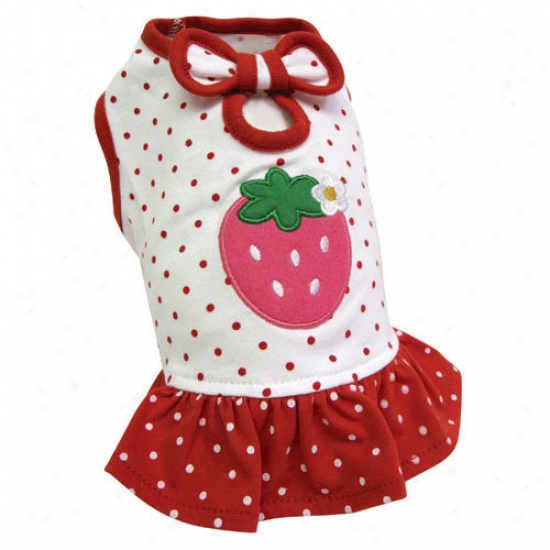 Klippo Pet Adorable And Lightweight Dog Dress With Polka Dots And A Strawberry Patch
