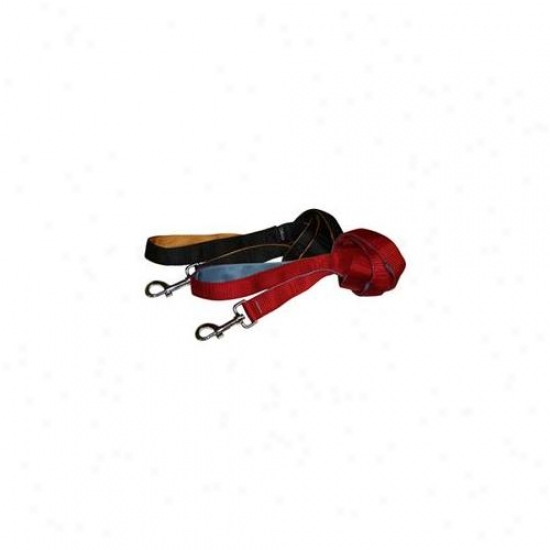 Kurgo Ku00048 Be delirious Leash - 39 Inch Double Layer Of Nylon Webbing - Black And Orange