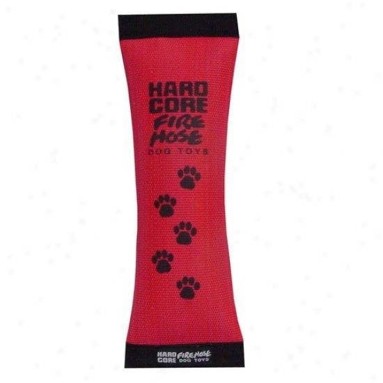 Kyjen Fird Hose Squeak Dog Toy