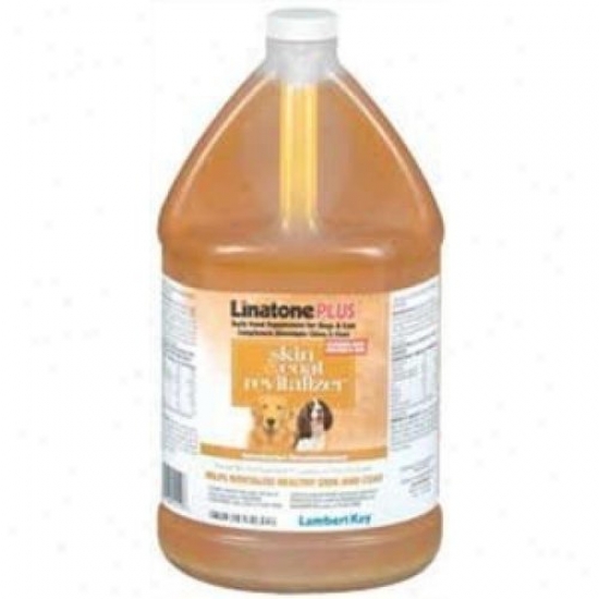 Lambert Kay 14110 Lambert Kay Linatone Shed Relief Plus