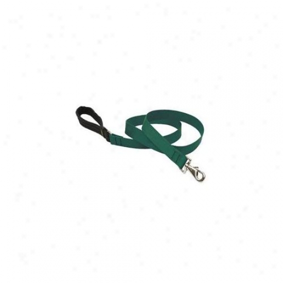 Lupine 37559 1 Inch Green 6 Ft.  Padded Handle Dog Leash