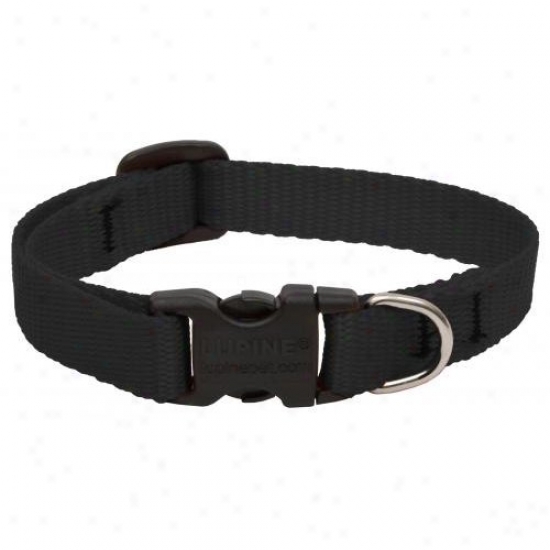Lupine Inc 27534 1/2 Inch X 8 Inch - 12 Inchh Adjustable Black Collar For Small Dogs And Puppies