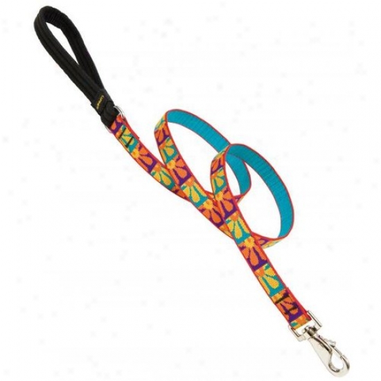 Lupine Inc 31007 3/4 Inch X 4 Crazy Daisy Design Dog Allure