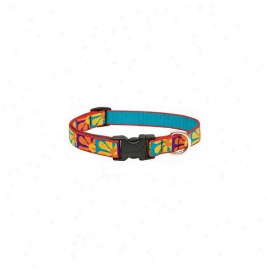 Wolfish Inx . 75inch X 12inch-20inch Adjustable Crazy Daisy Design Dog Collar  31002