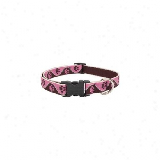 Lupine Inc . 75inch X 12inch-20inch Adjustable Tickled Pink Dog Collar  54302