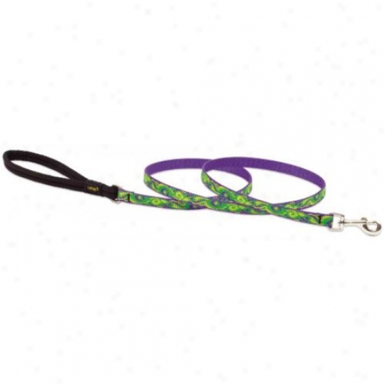 Lupine Inc 98538 Big Easy Nylon Pet Leash