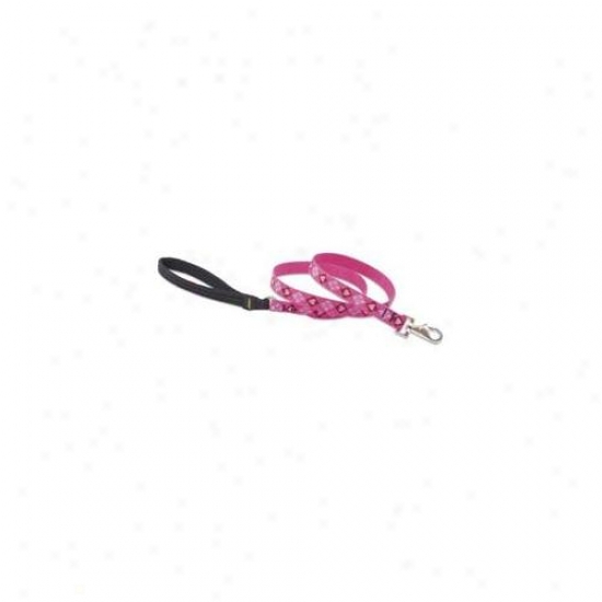 Lupine Pet 746889142072 Pup Love 4 Ft.  Lead