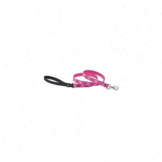 Lupine Pet 746889142096 Puppy Love 6 Ft.  Lead