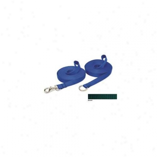 Lupine Pet 746889375432 Green 30 Ft.  Gate Snap Training Lead