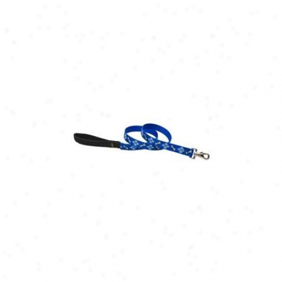 Lupine Pet 746889428580 Dapper Dog 4 Ft.  Lead
