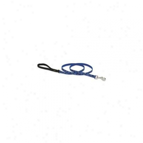 Lupine Pet 746889418597 Dapper Dog 6 Ft.  Lead
