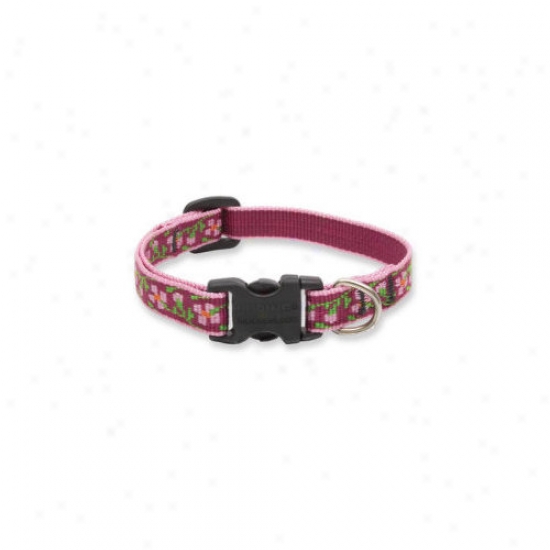 Lupine Pet Cherry Blossom 1/2'' Adjustable Small Dog Collar