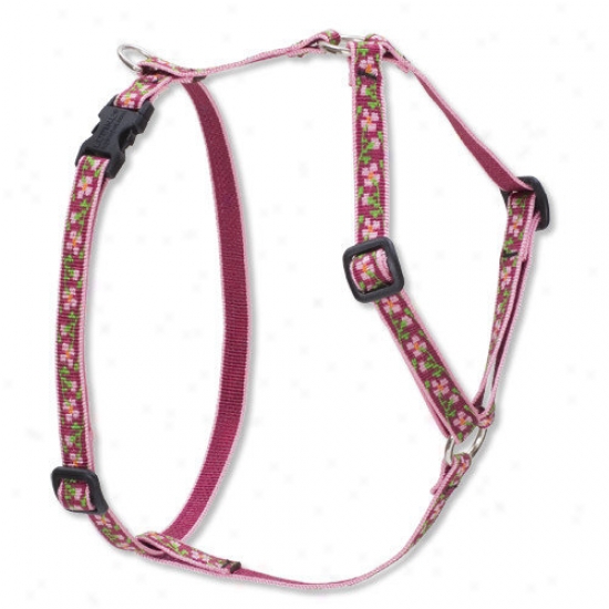 Lupine Pet Cherry Blossom 1/2'' Adjustable Small Dog Roman Harness