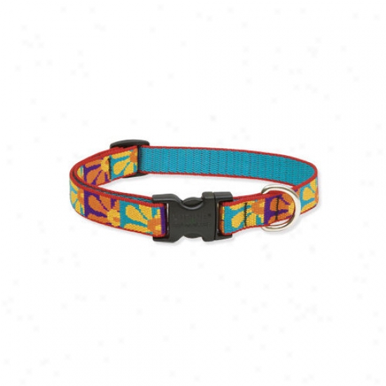 Lupine Pet Crazy Daisy 3/4'' Adjustable Medium Dog Collar