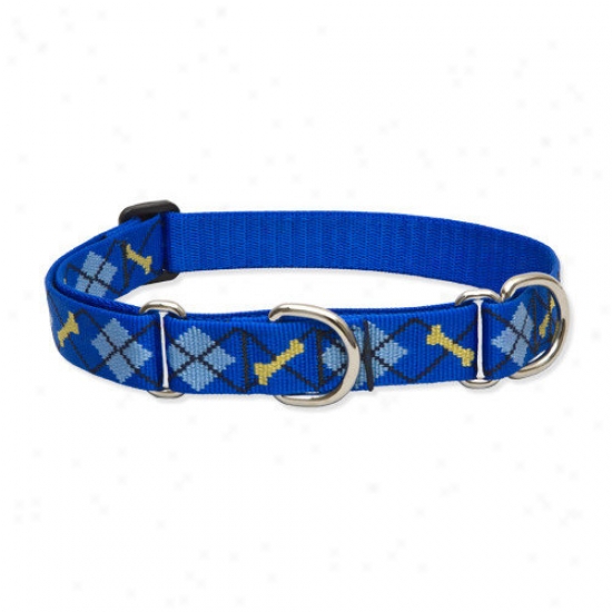 Lupine Pet Dapper Dog 1'' Adjustable Large Dog Combo Collar