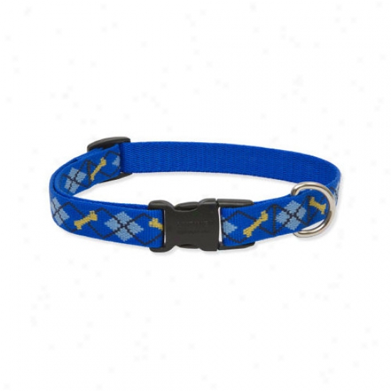 Lupine Pet Dapper Dog 3/4'' Adjustable Medium Dog Collar