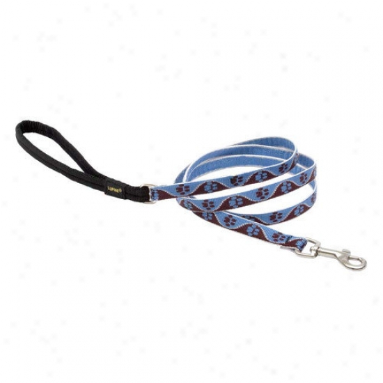 Lupine Pet Muddy Paws 1/2'' Small oDg Leash