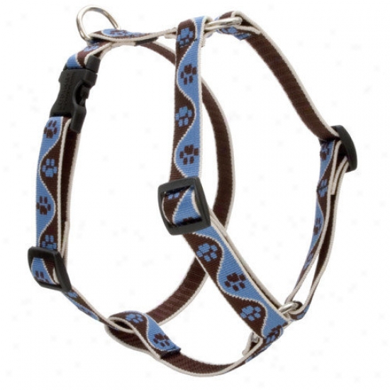 Lupine Pet Muddy Paws 3/4'' Adjustable Medium Dog Of Rome Harness