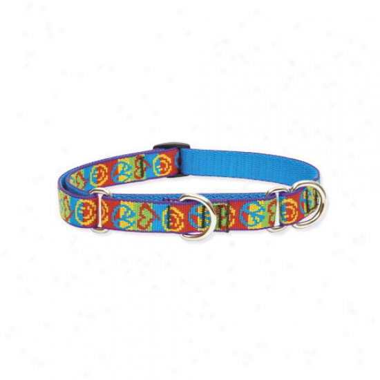 Lupine Pet Peace Pup 3/4'' Adjustable Medium Dog Combo Collar