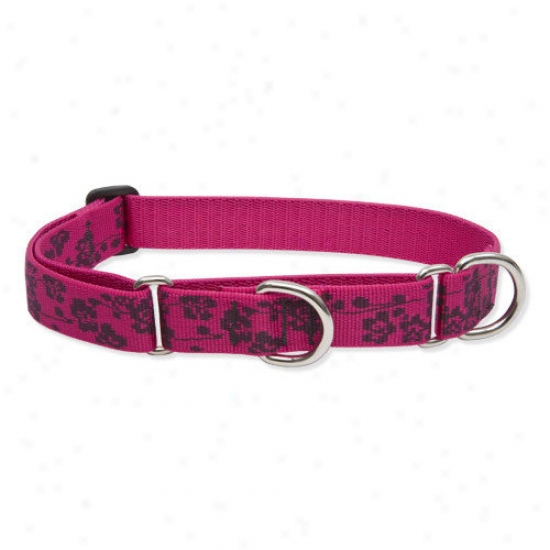 Lupine Pet Plum Blossom 1' ;' Adjustable Large Dog Combo Collar