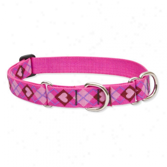 Wolfish Pet Puppy Love 1'' Adjustable Largge Dog Combo Collar