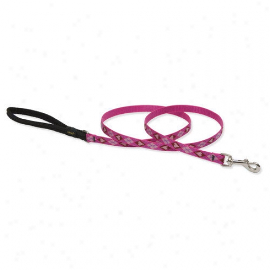 Lupine Pet Puppy Love 1/2'' Small Dog Leash