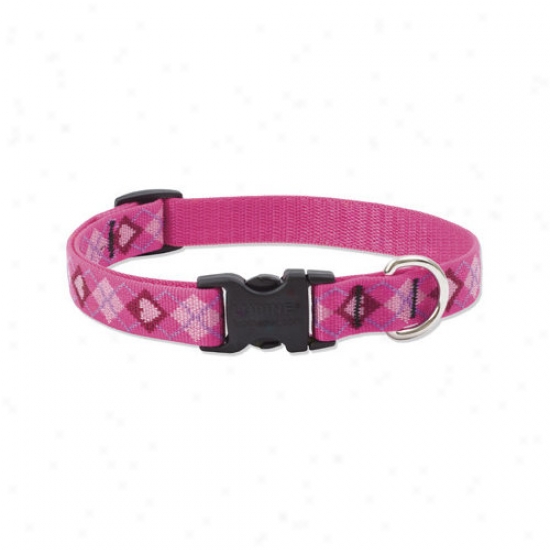 Lupine Pte Pyppy Love 3/4'' Adjustable Medium Dog Collar