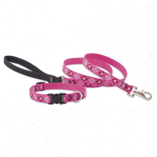 Lupine Fondling Puppy Have affection for 3/4'' Medium Dog Leash