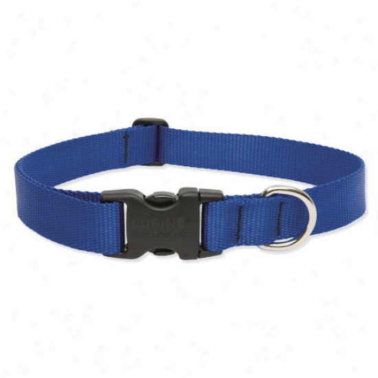 Lypine Fondling Solid Color 1'' Adjustable Large Dog Collar