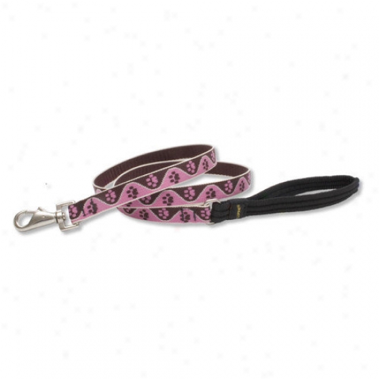 Lupine Pet Tickled Pink 3/4'' Medium Dog Leash