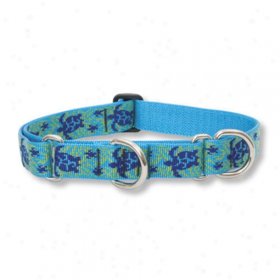Lupine Pet Turtle Reef  1'' Adjustable Large Dog Combo Collar