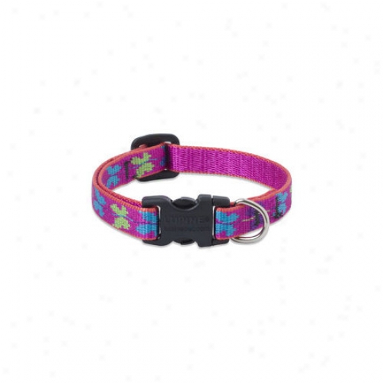 Lupine Pet Wing Itt 1/2'' Adjustable Small Dog Collar
