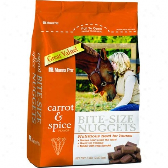 Manna Pro 00-9294-4245 Carrot And Spice Nuggets