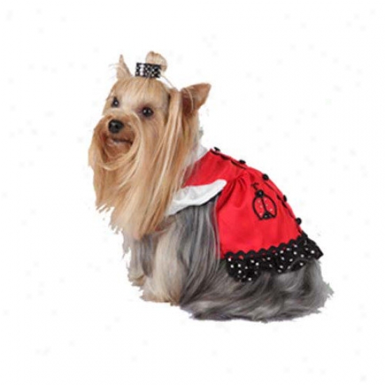 Max's Closet Jumper Dog Dress With Lady Bug Pocket