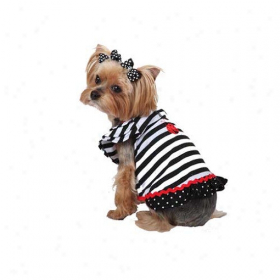 Max's Closet Stripeed Lady Bug Dog Dress