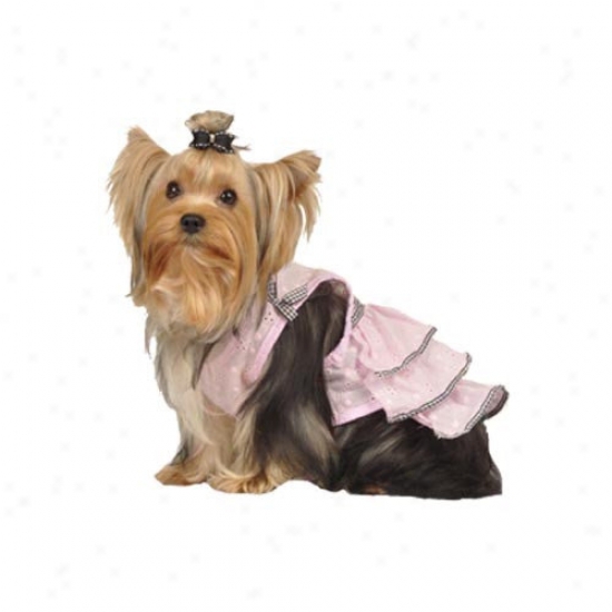 Max's Closet Tiered Eyelet Dress