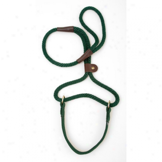 Mendota Big Dog Walker In Green