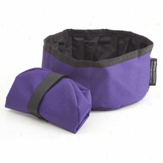 Mendota Collapsible Dish In Purple