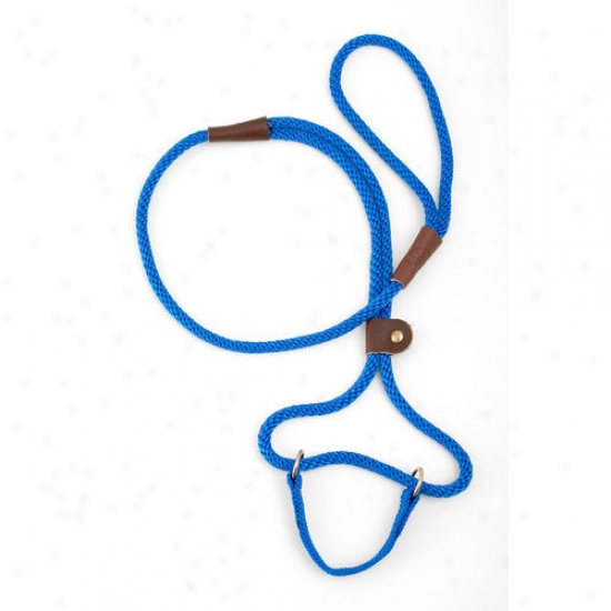 Mendota Dog Walker In Blue
