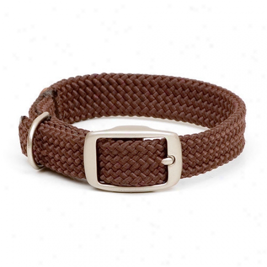 Mendota Double Braid Collar In Brown / Brushed Nickel Hzrdware