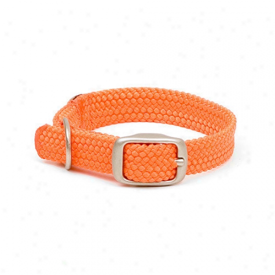 Mendota Double Braid Junior Collar In Orange / Brushed Nickel Hardware