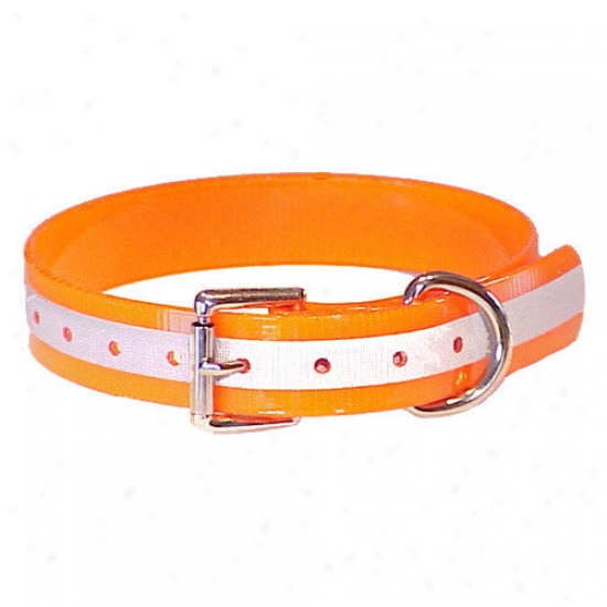 Mendota Duraflect Standard Collar In Orange