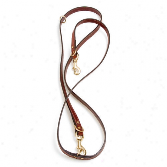 Mendota Jaeger Leash In Chestnut