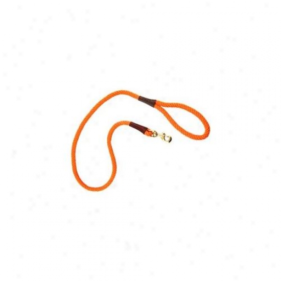 Mendota Me01616 Snap Leash 0. 5 Inch X 4ft - Kelly Conf