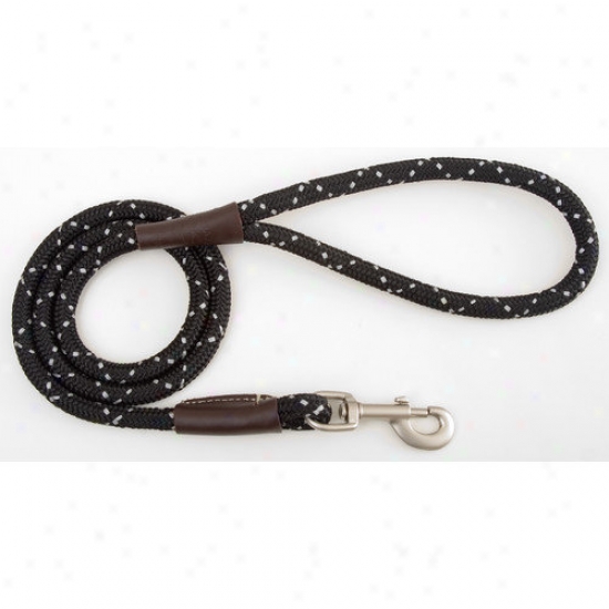Mendota Darkness Viz Snap Leash In Black